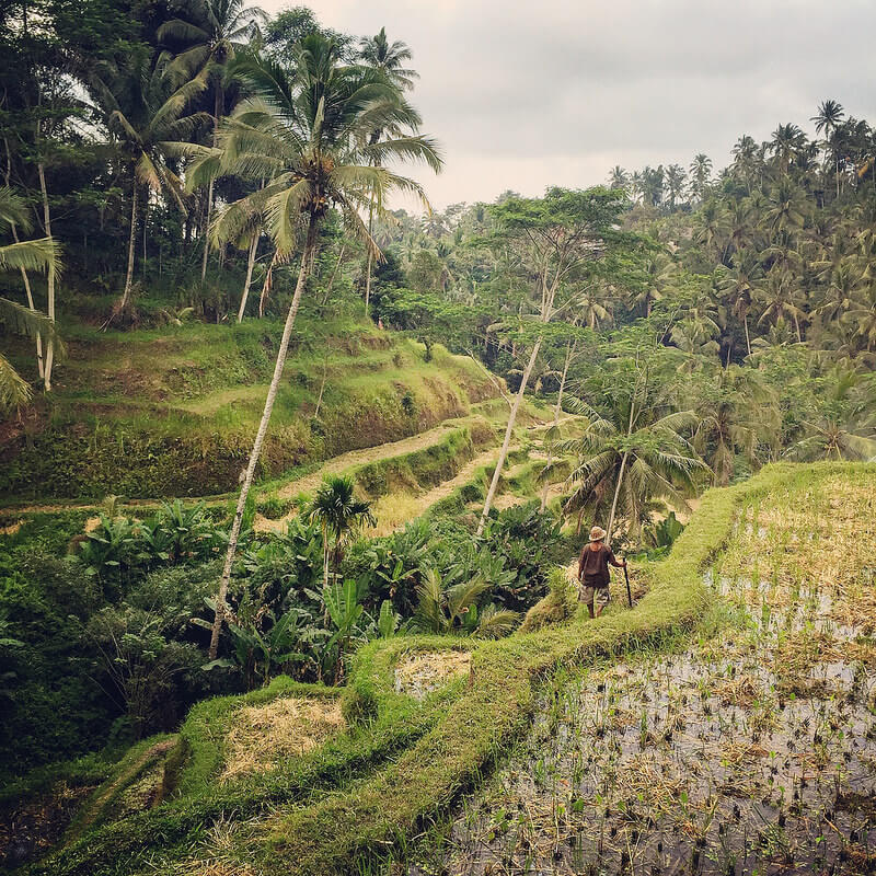 trekking randonnée en indonésie